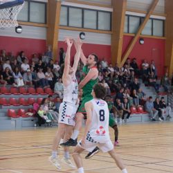 img-1950-web-682872f9cb33f660781789.jpg