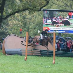 img-8451-web-671be09360c2d649990890.jpg