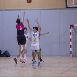 img-9274-web-674c91c669123744761099.jpg