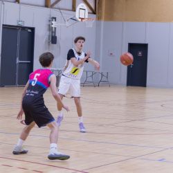 img-9395-web-674c91c6be73a703380417.jpg
