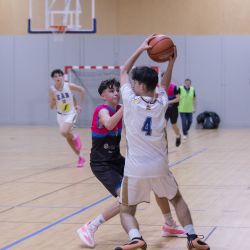 img-9401-web-674c91c6c4663842484467.jpg