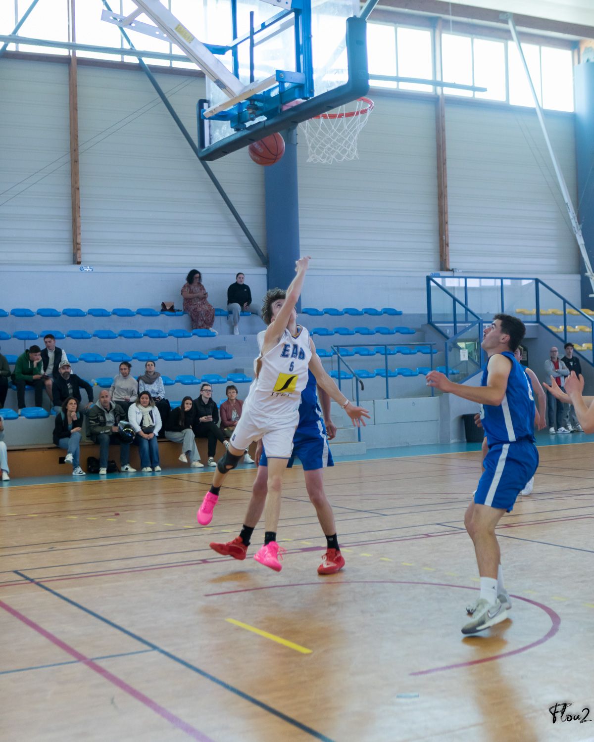 img-1608-web-68147c86e8c05842912628.jpg