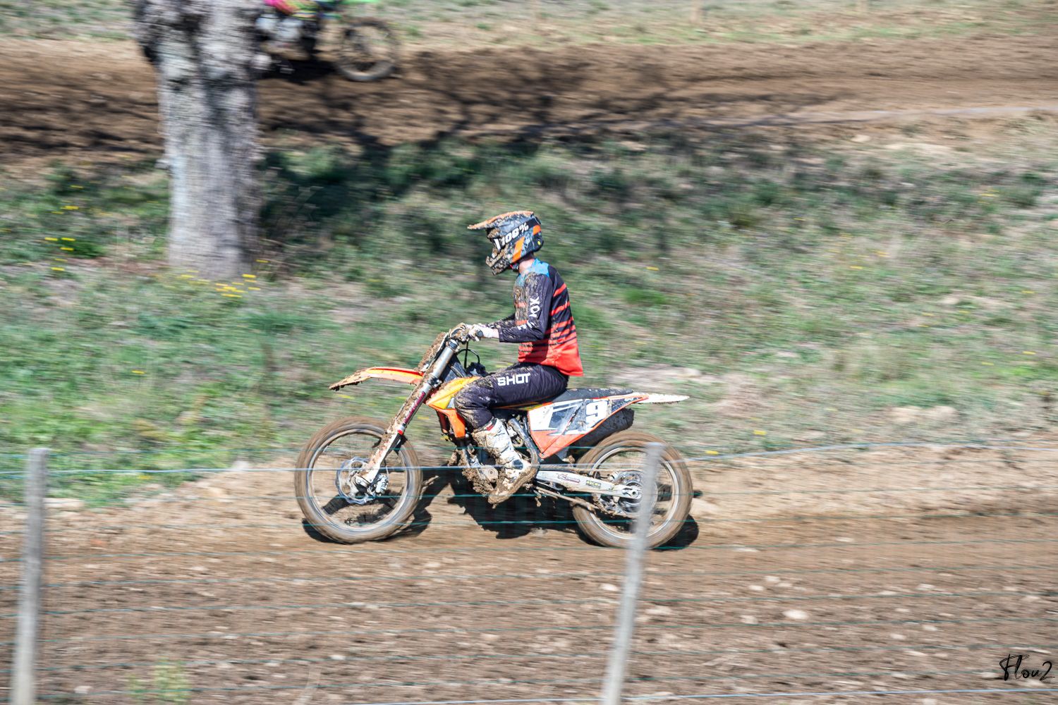 img-1855-web-6ab7e21d786ba172049108.jpg