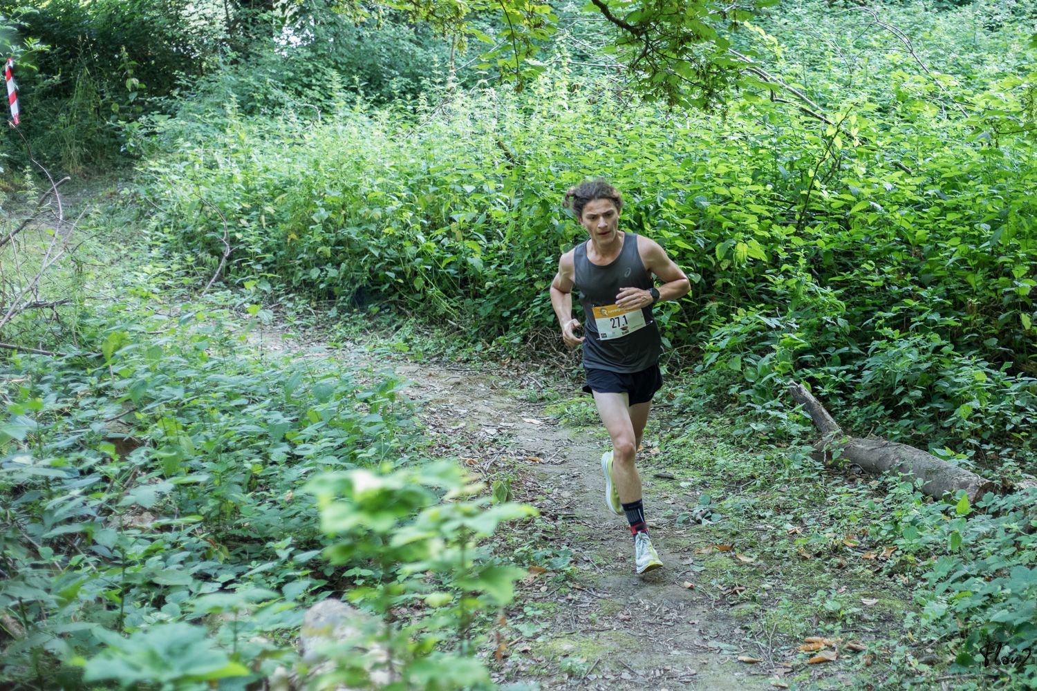 img-2944-web-6857b27658b73165579102.jpg