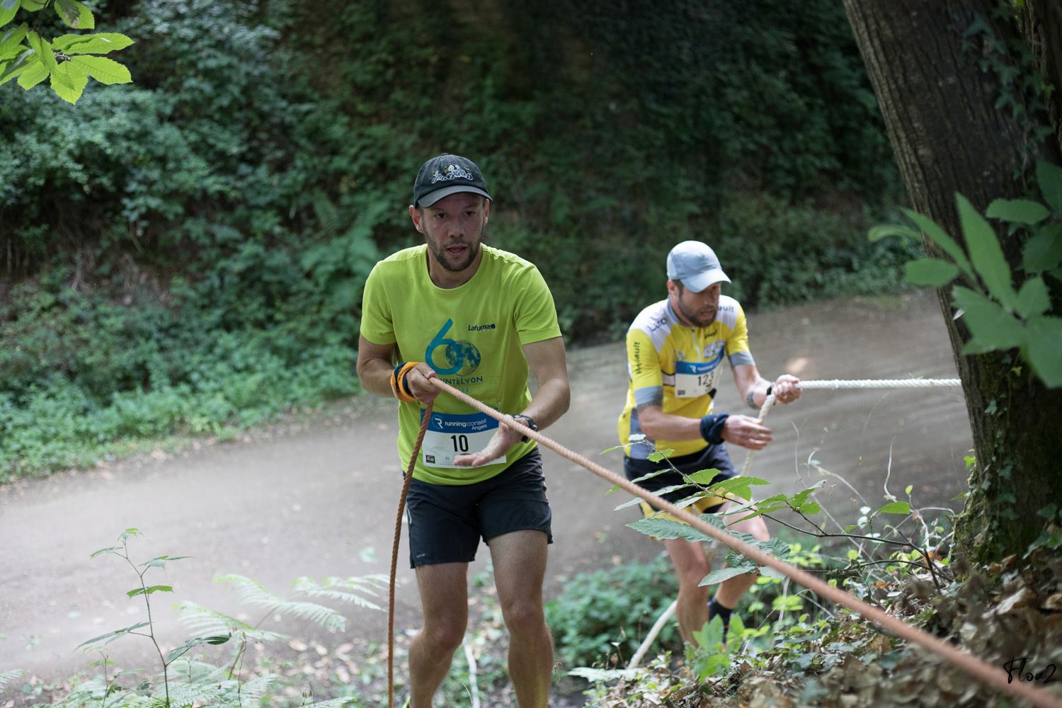 img-2962-web-6857b27667a76356515290.jpg