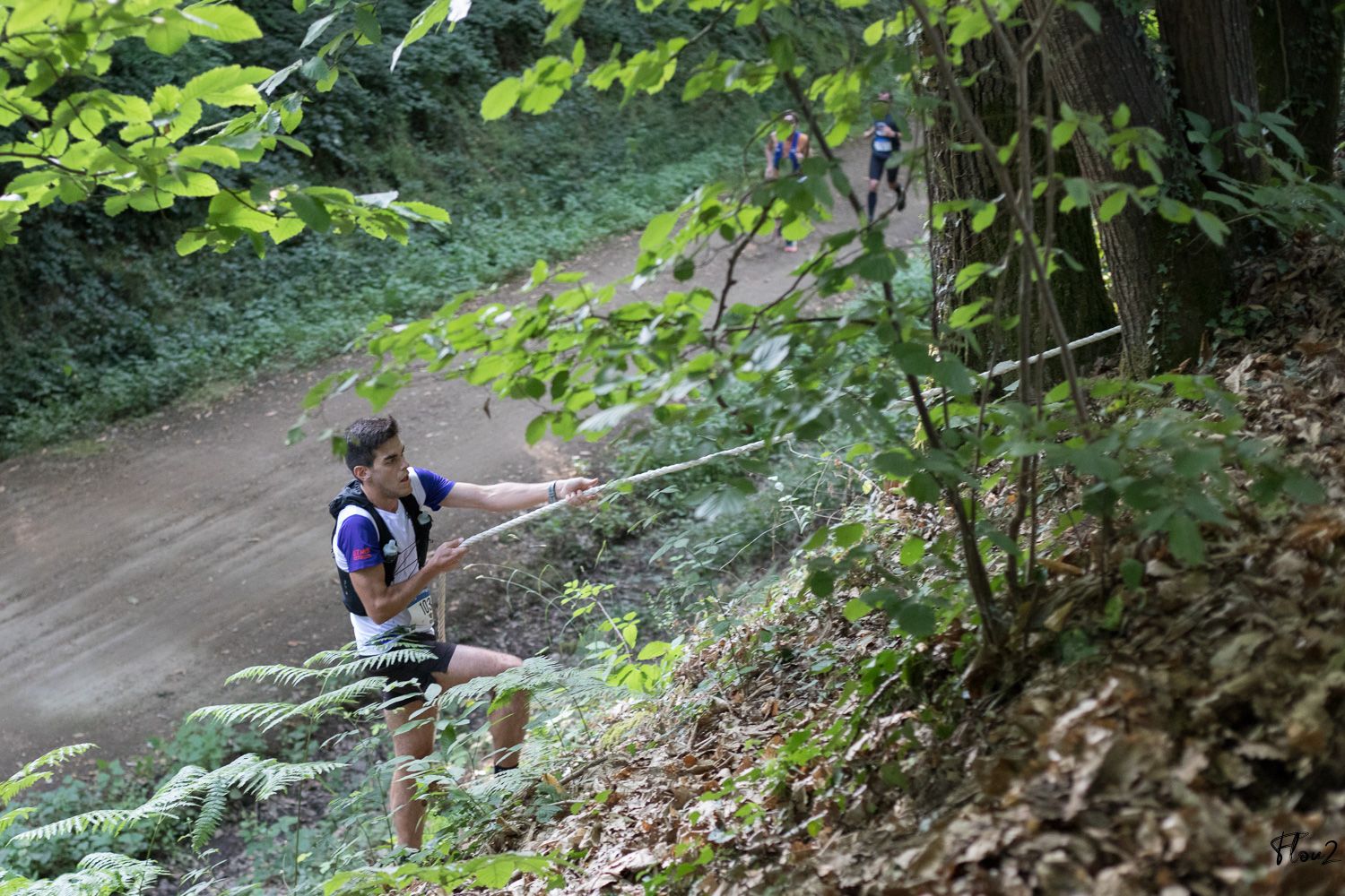 img-2969-web-6857b2766ae5a785470118.jpg
