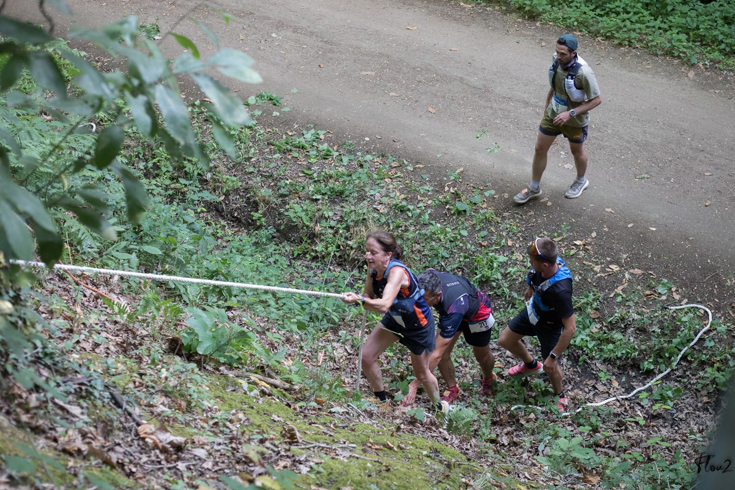 img-2974-web-6857b2766cf1f347366712.jpg