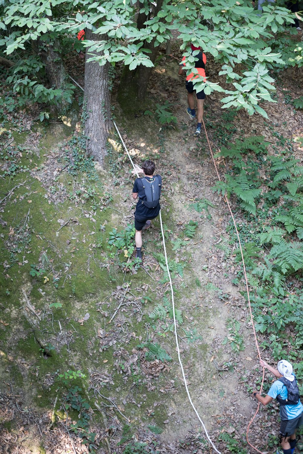 img-2986-web-6857b2767567c300496929.jpg