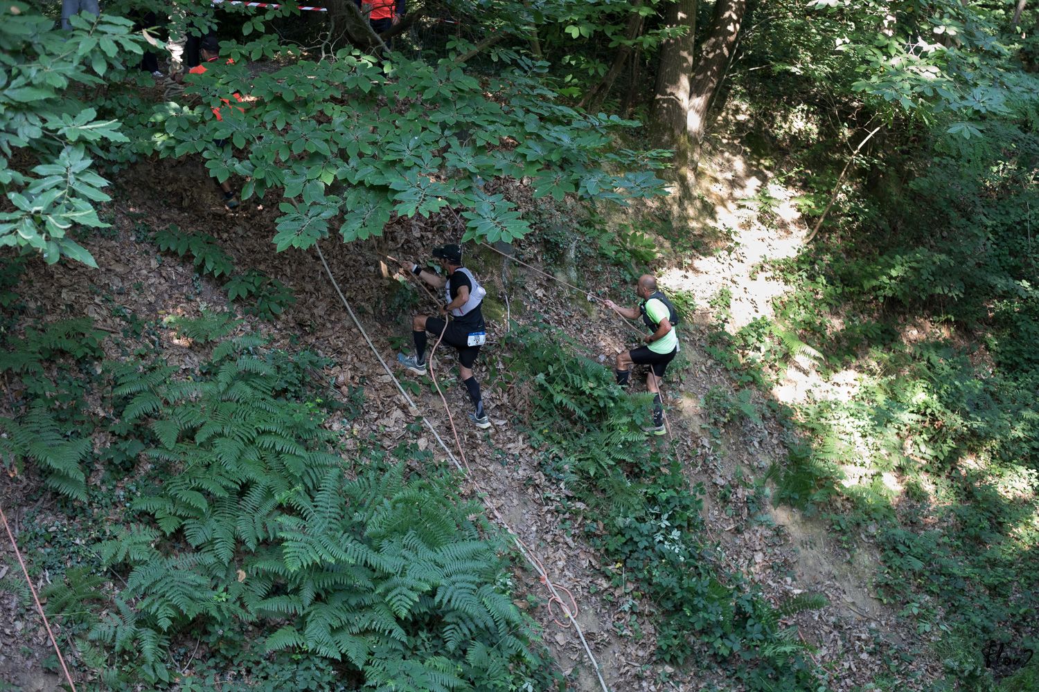 img-2987-web-6857b27676599030529372.jpg