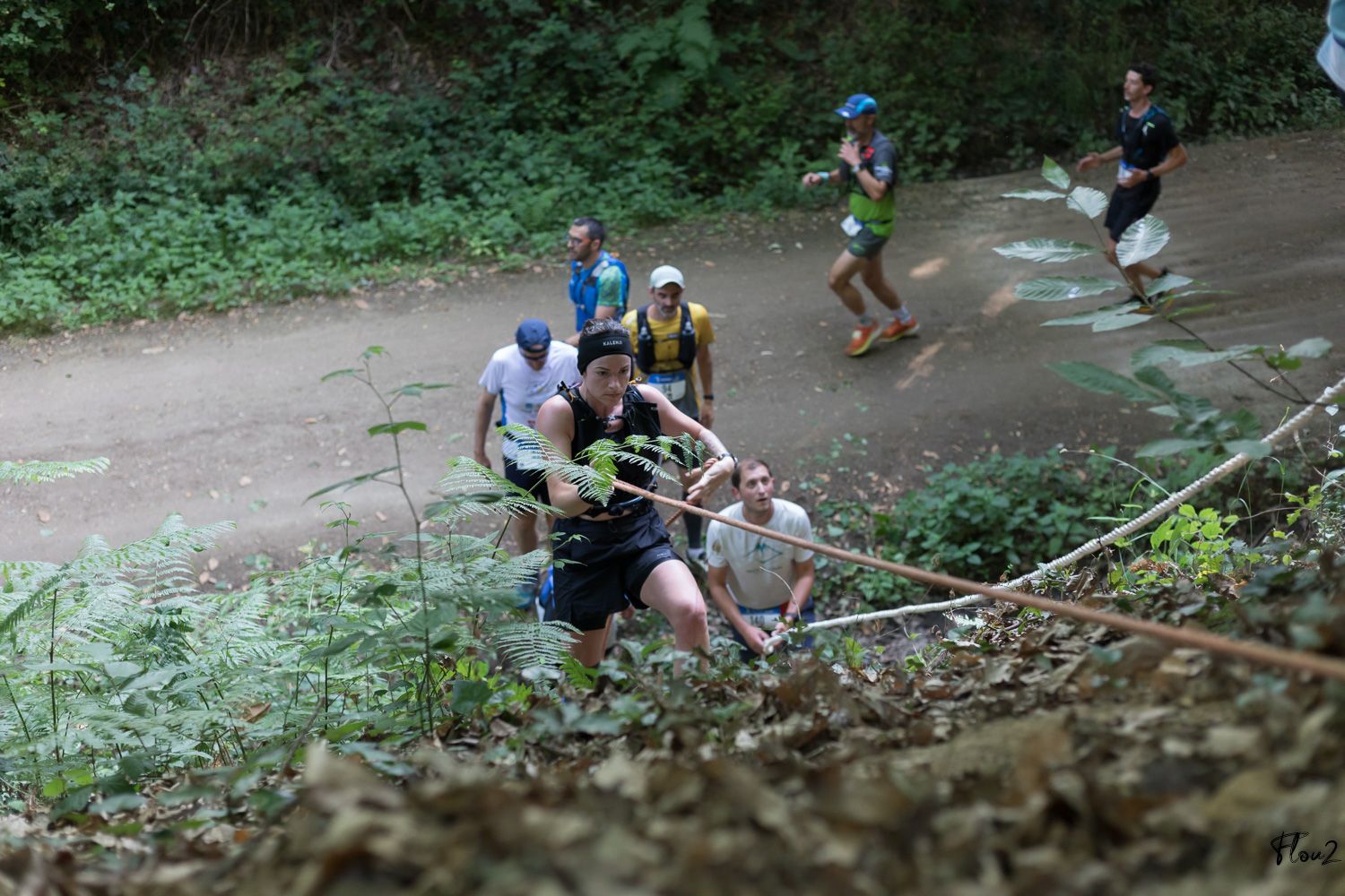 img-3003-web-6857b2768177c142274244.jpg