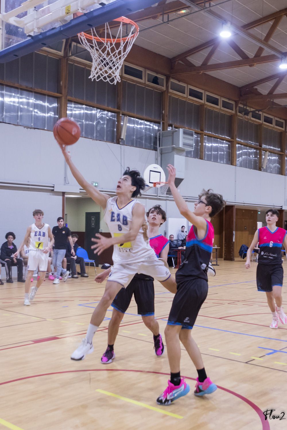 img-9350-web-674c91c69ae32512024284.jpg