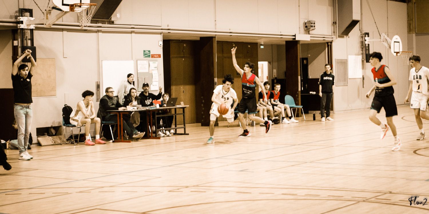 img-9354-web-674c91c69e646727238161.jpg