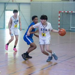 img-1530-web-68147c86cfc16817937918.jpg