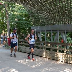 img-2994-web-6857b2767be0f530996640.jpg