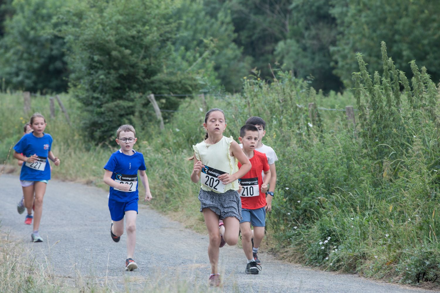 img-2646-web-6857b20b3c6f8447412636.jpg