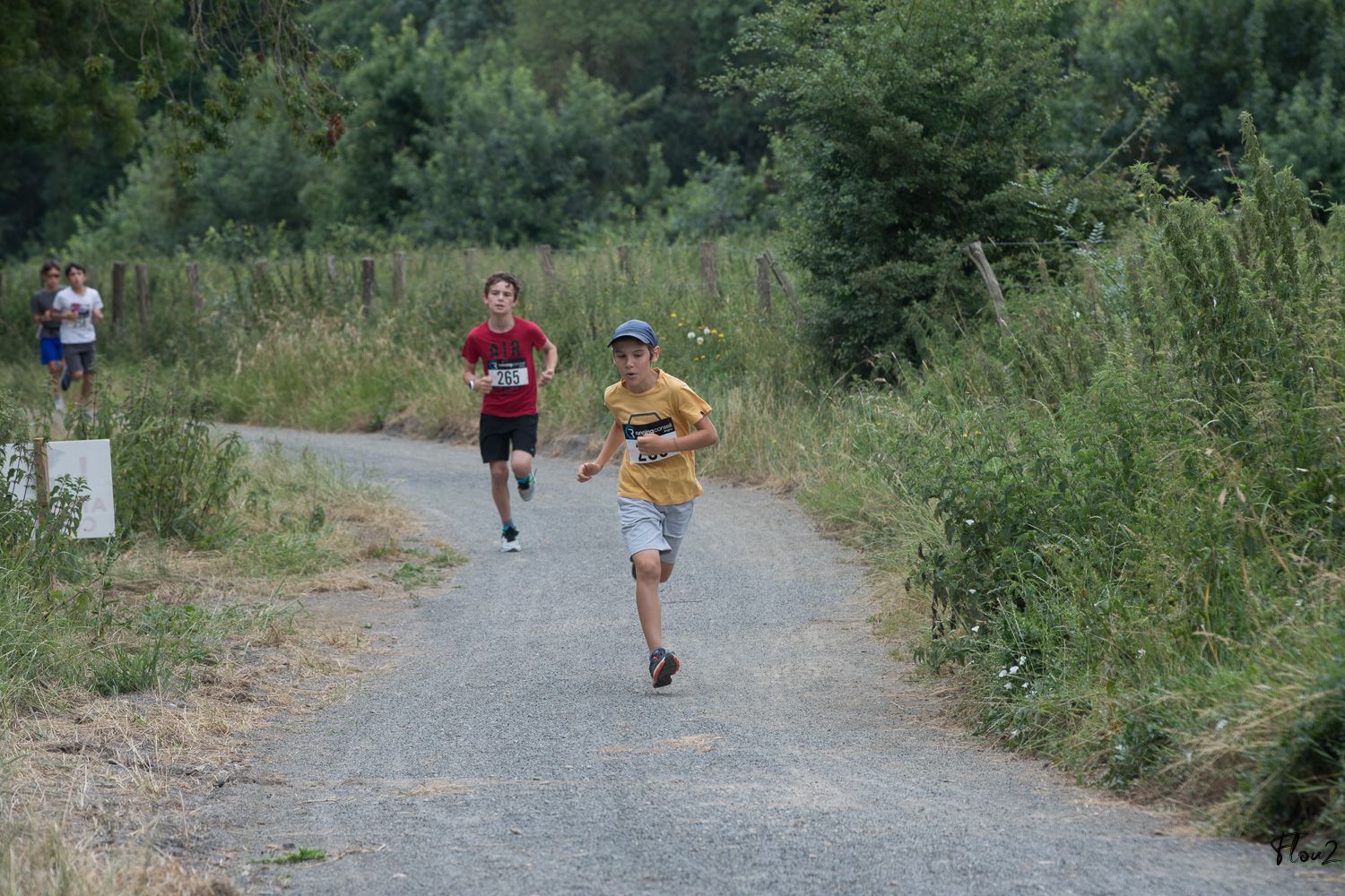 img-2665-web-6857b20b45fc8629453564.jpg